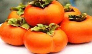 7 Khasiat Buah Kesemek Bagi Kesehatan