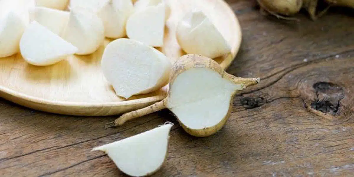 Pudarkan Flek Hitam Diwajah Anda dengan Masker Bengkoang Ini!