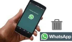 Cara Hapus Pesan WhatsApp yang Sudah Lama Terkirim