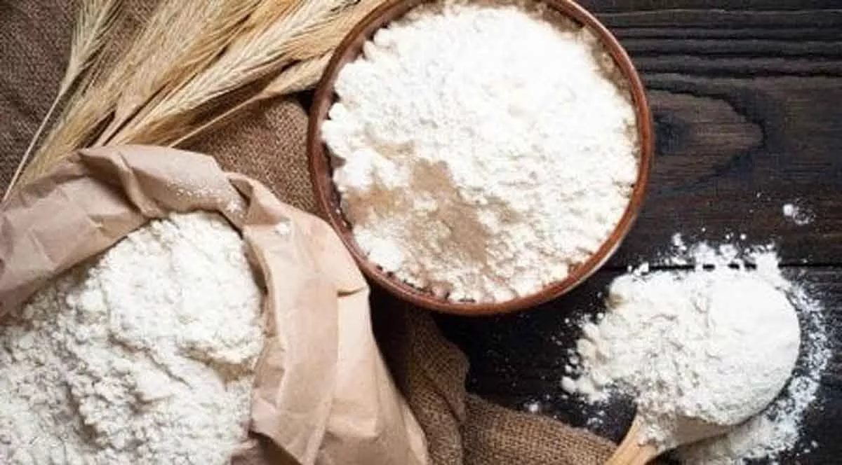 Cara Simpan Tepung Terigu Agar Awet dan Tak Mudah Apek