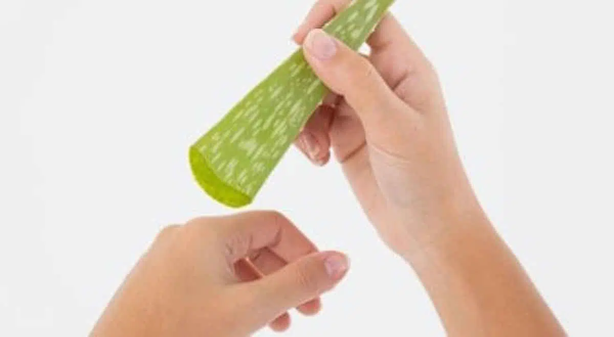 Gel Lidah Buaya, Cara Ampuh Atasi Sunburn pada Kulit