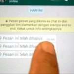 Ingin Tahu Pesan WhatsApp yang Sudah Dihapus? Ini Caranya