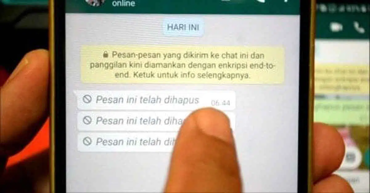 Ingin Tahu Pesan WhatsApp yang Sudah Dihapus Ini Caranya