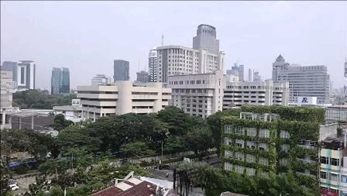 Jokowi Ajak Para Menteri Bahas Rencana Pemindahan Ibu Kota