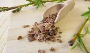 Kerap Diabaikan, Ini 5 Manfaat Willow Bark untuk Kecantikan Kulit