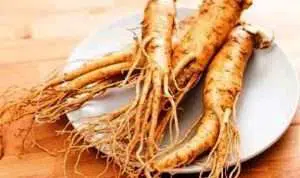 Ladies, Yuk Intip Cara Kerja Ginseng Sebagai Anti Penuaan dalam Produk Kecantikan