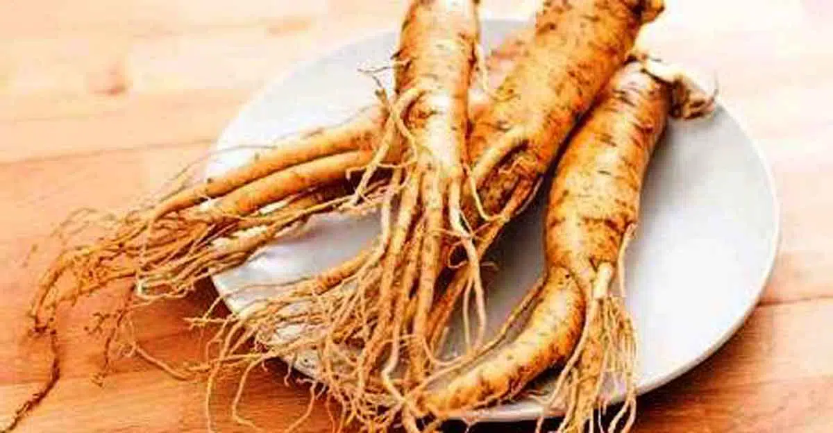 Ladies, Yuk Intip Cara Kerja Ginseng Sebagai Anti Penuaan dalam Produk Kecantikan