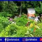 Mobil Box Terjun ke Jurang di Ponjuk Pamekasan, Kernet Hilang?