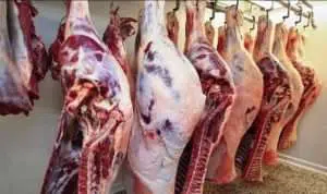 Muslim di India diserang karena jual daging sapi
