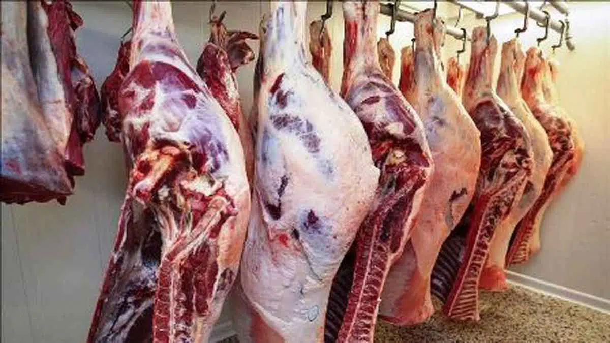 Muslim di India diserang karena jual daging sapi