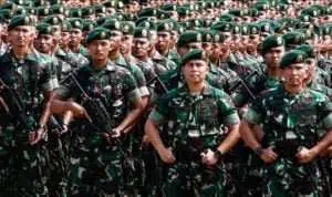 Pemerintah minta TNI tak terprovokasi hoaks Pemilu