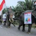 Pemerintah Sebut Partisipasi Pemilih Mencapai 80-90%