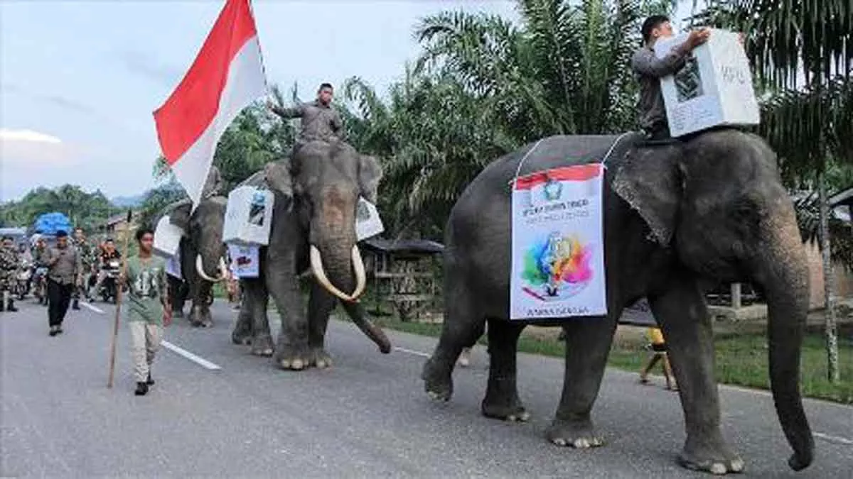 Pemerintah Sebut Partisipasi Pemilih Mencapai 80-90%