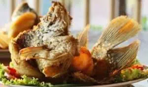 Resep Gurami Goreng Bawang Putih untuk Makan Siang