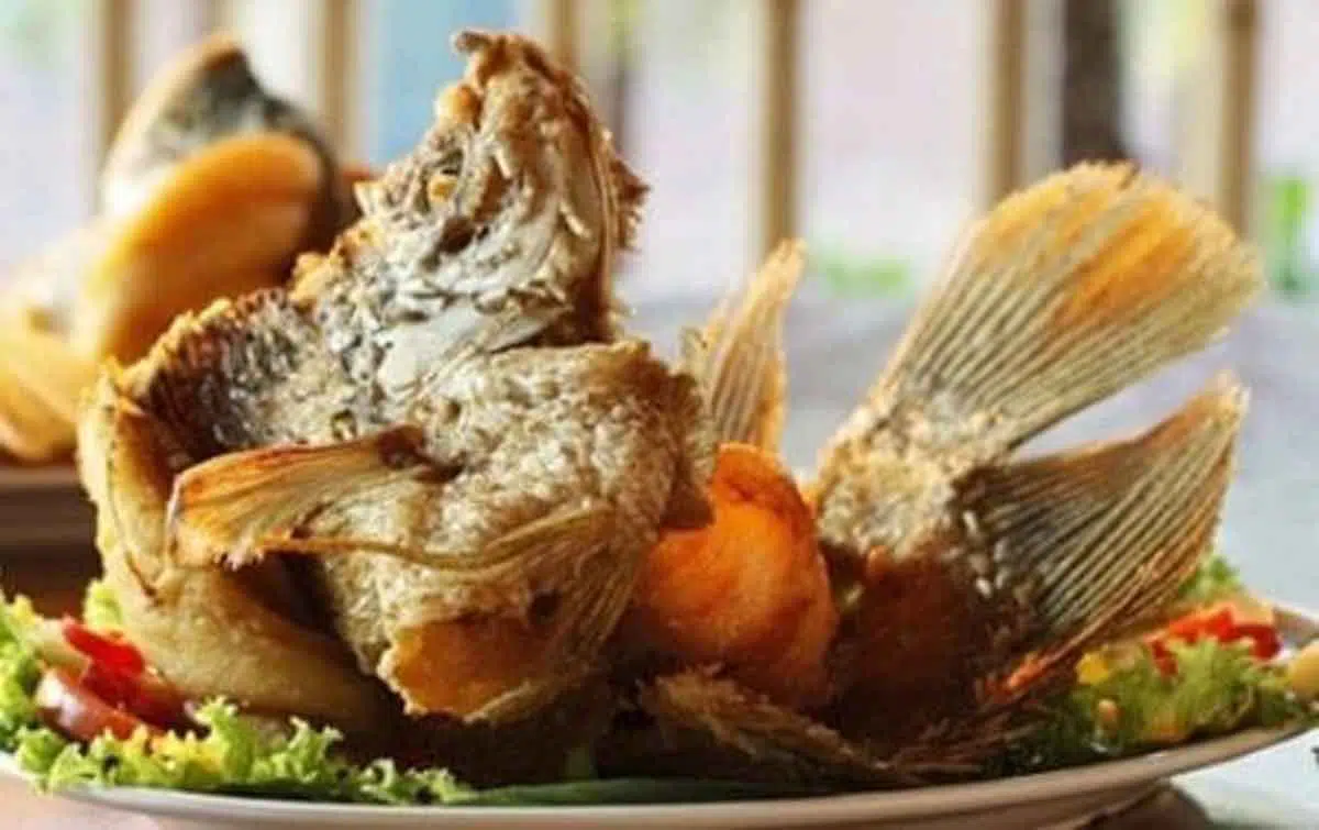 Resep Gurami Goreng Bawang Putih untuk Makan Siang