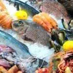 4 Manfaat Rutin Konsumsi Ikan Laut Bagi Kesehatan