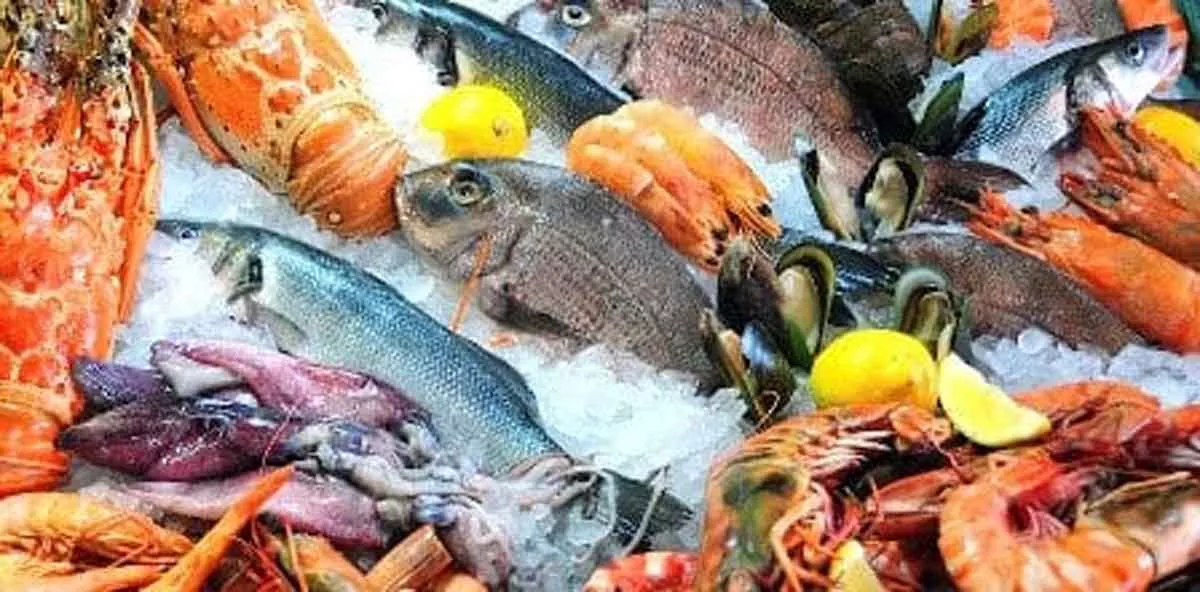 4 Manfaat Rutin Konsumsi Ikan Laut Bagi Kesehatan