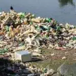 Sampah Plastik di Asia Merusak Tanaman dan Kesehatan