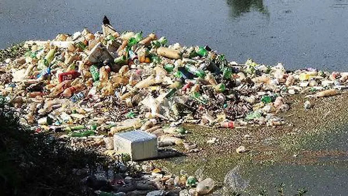Sampah Plastik di Asia Merusak Tanaman dan Kesehatan