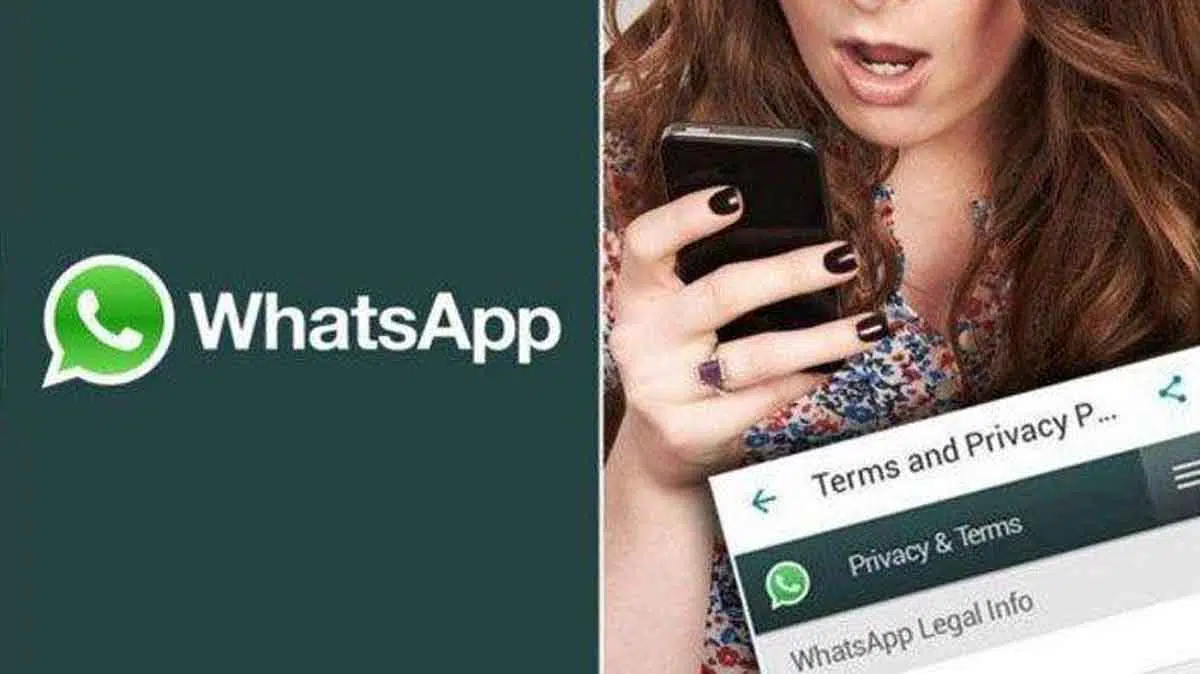 Download Cloneapp messengger cara menyadap whatsapp istri pacara maupun teman anda