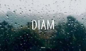 diam