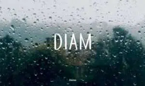 diam