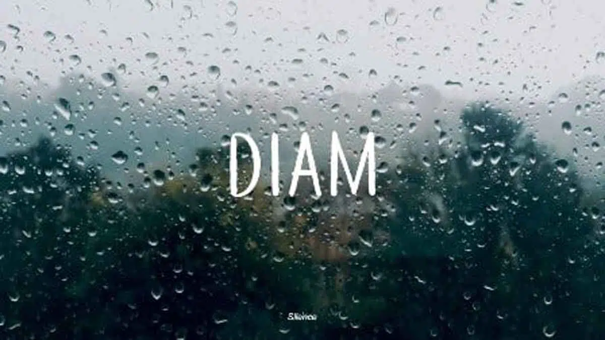 diam