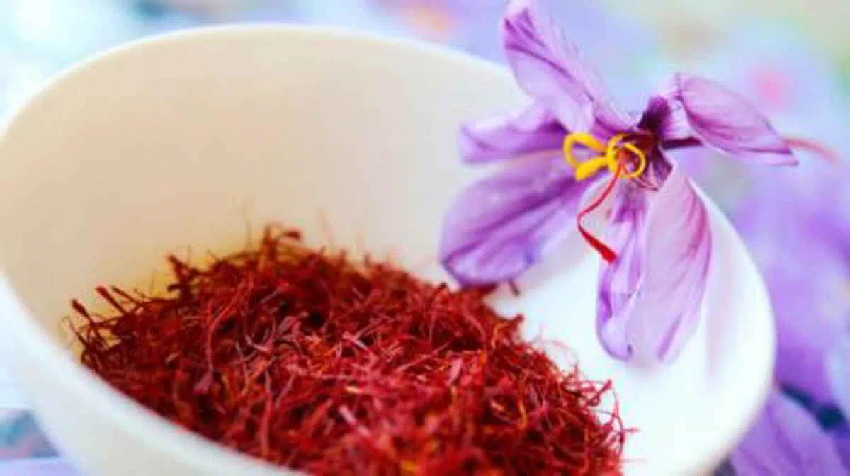 5 Khasiat Bunga Saffron Bagi Kecantikan dan Kesehatan