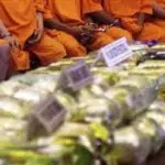 BNN Gagalkan Penyelundupan 300 Kilogram Ganja dari Aceh