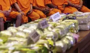 BNN gagalkan penyelundupan 300 kilogram ganja dari Aceh