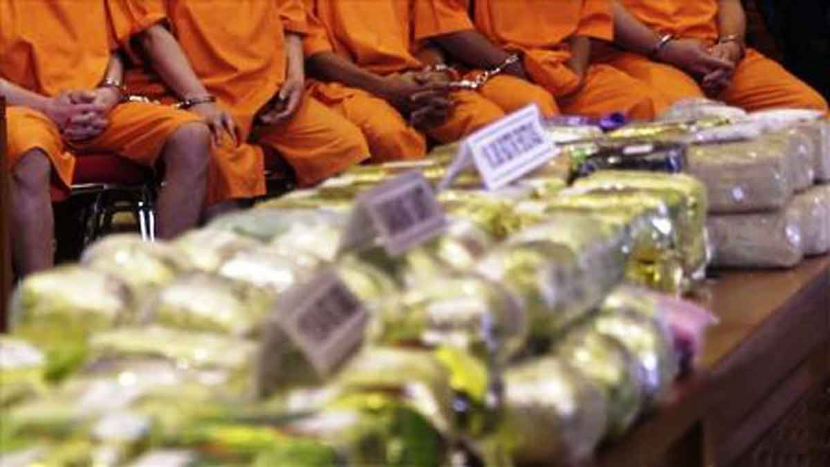 BNN Gagalkan Penyelundupan 300 Kilogram Ganja Dari Aceh - PortalMadura.com