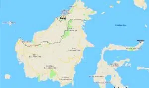 BNPB: Kalimantan Bisa Jadi Opsi Ibu Kota Baru dari Kacamata Kebencanaan
