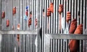 Hampir 400 Migran Ilegal Ditahan di Turki