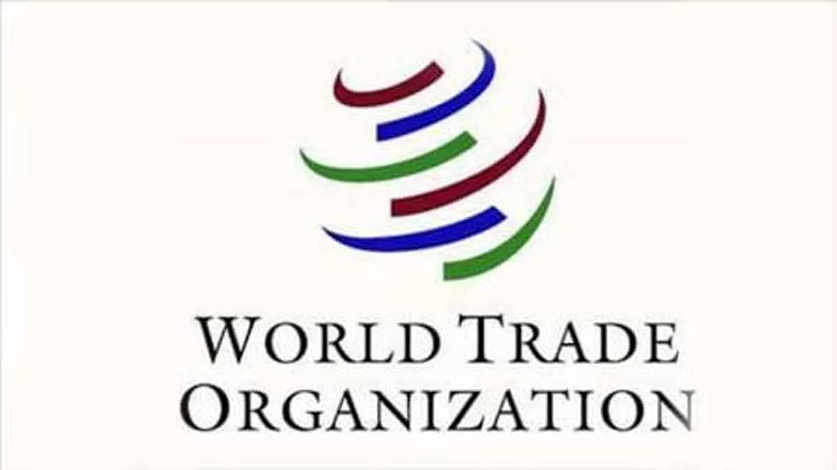 Indonesia Reformasi WTO harus jamin hak negara berkembang