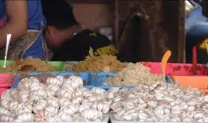 Indonesia targetkan berhenti impor bawang putih pada 2021