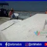 Mulai Persiapan Produksi, PT Garam Optimis Akhir Mei Sudah Panen