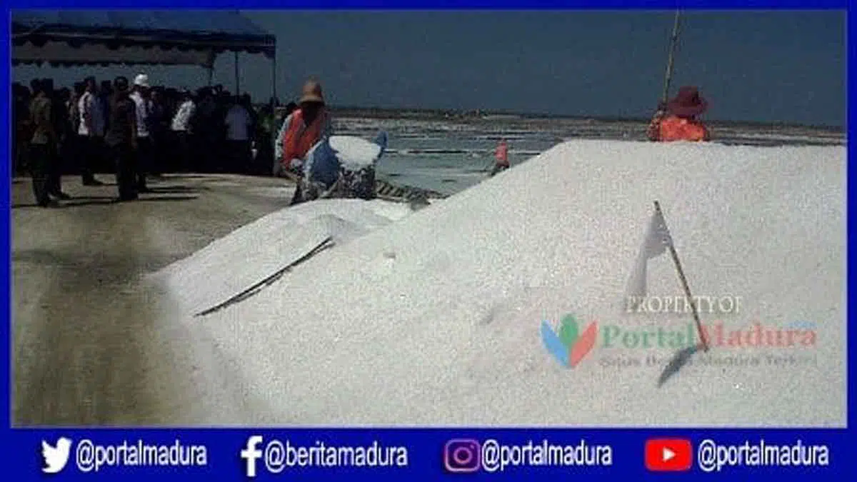 Mulai Persiapan Produksi, PT Garam Optimis Akhir Mei Sudah Panen