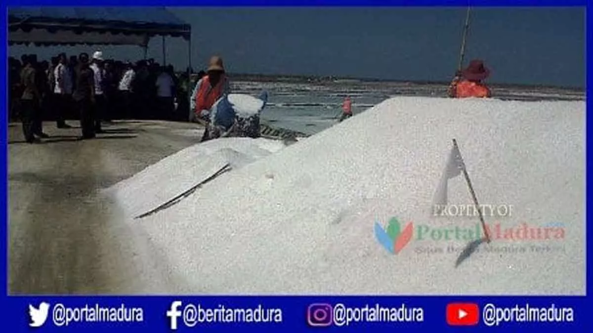 Mulai Persiapan Produksi, PT Garam Optimis Akhir Mei Sudah Panen