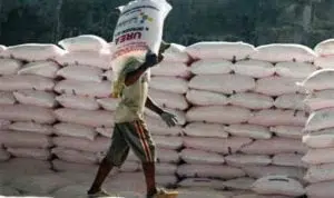 2020, Jatah Pupuk di Pamekasan Dikurangi