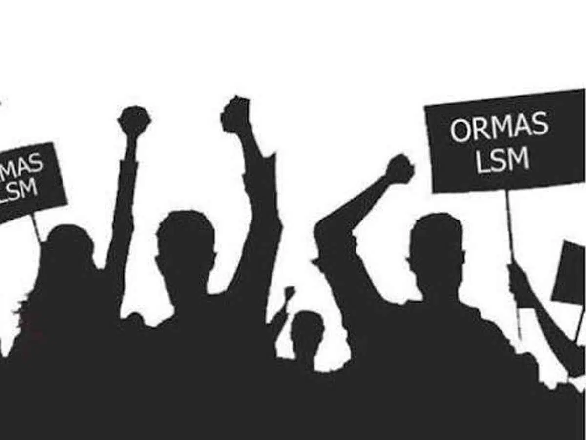 Ormas LSM