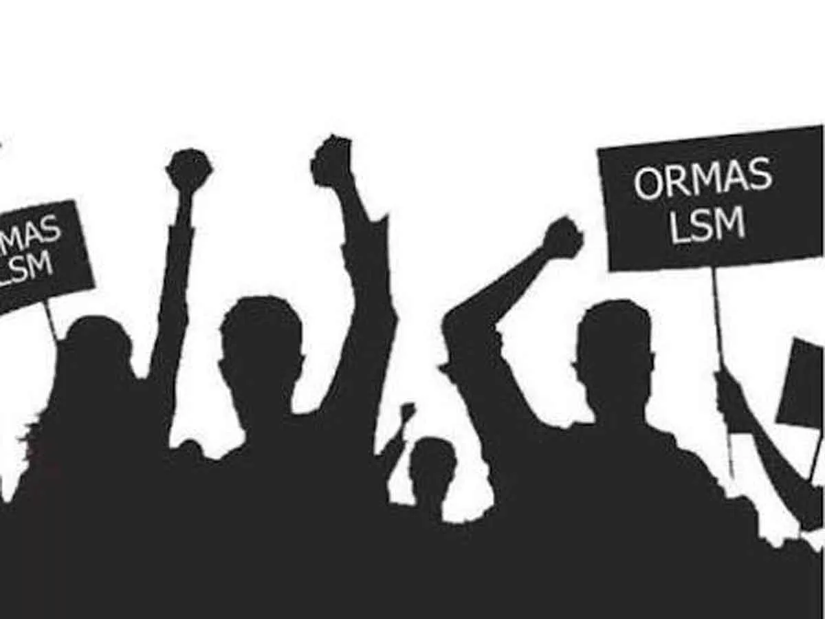 Ormas LSM