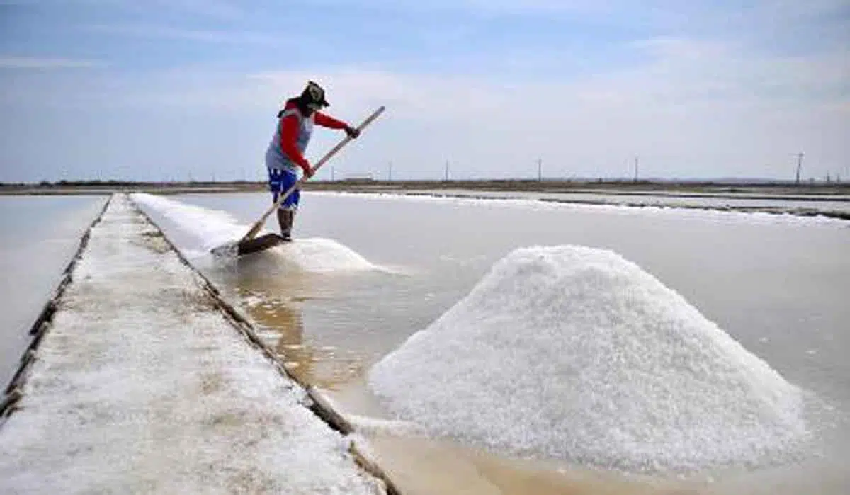 Harga Garam di Pamekasan Rp 300 Per Kilogram
