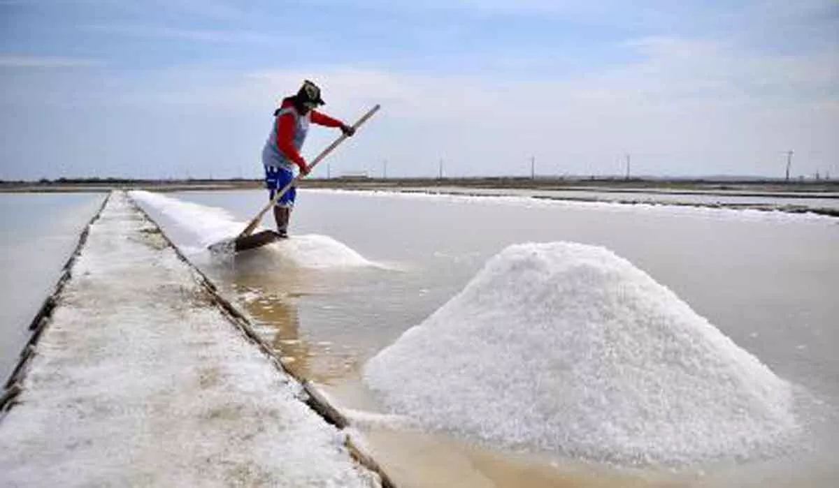 Petani Garam Merugi, 308 Ribu Tak Terserap