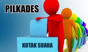 Pilkades