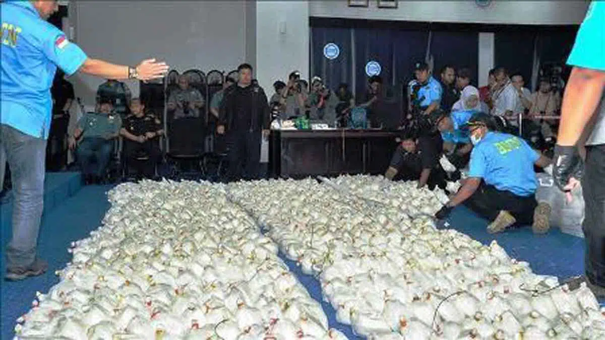 Polisi Temukan 137 Kilogram Sabu Selundupan dari Malaysia