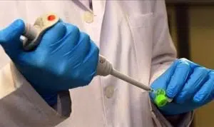 Virus Human Monkeypox di Singapura, Pemerintah RI perketat pemeriksaaan di pelabuhan dan bandara