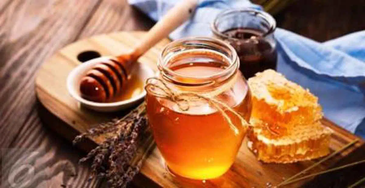 4 Makanan yang Bisa Kembalikan Stamina Usai Mudik Lebaran