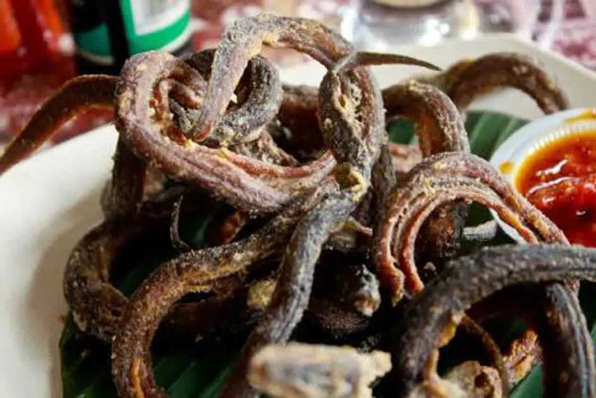 6 Manfaat Menakjubkan Konsumsi Belut Bagi Kesehatan