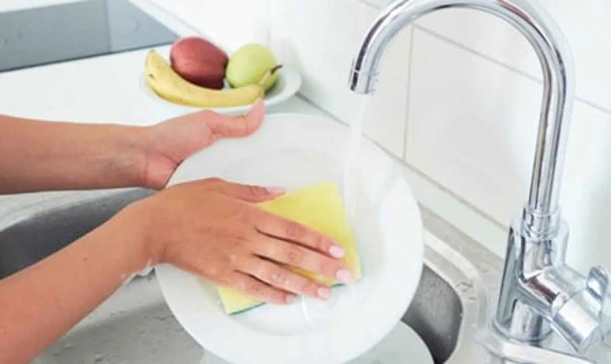 Benarkah Spons di Dapur Bisa Basmi Bakteri?
