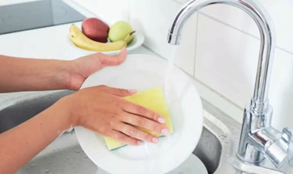 Benarkah Spons di Dapur Bisa Basmi Bakteri?